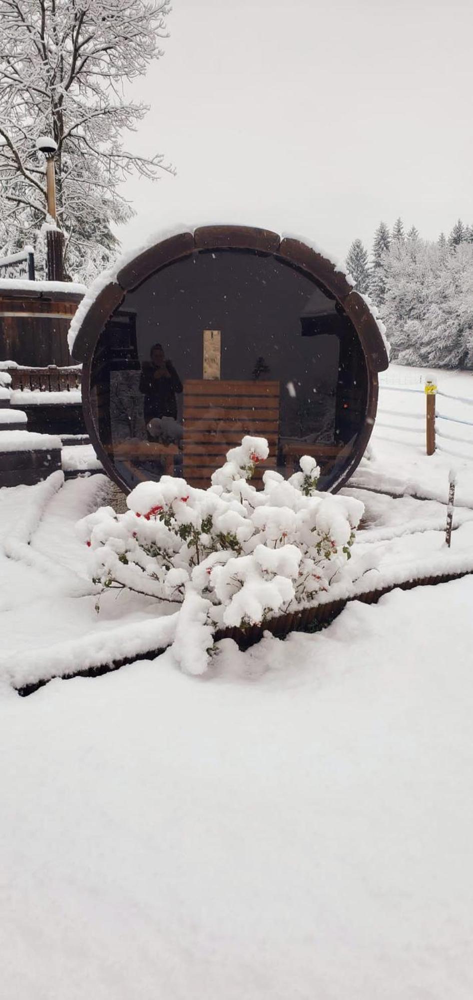 Les Chalets De Ludran Viuz-en-Sallaz المظهر الخارجي الصورة
